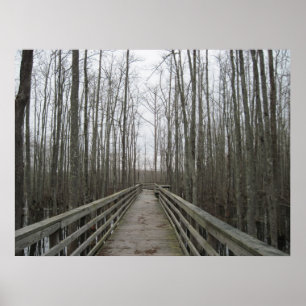 Pathway Through the Wilderness Poster