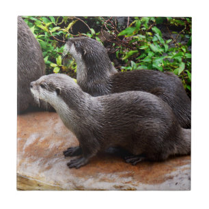 **"Patience by the Water: Two Little Grey Otters Ceramic Tile