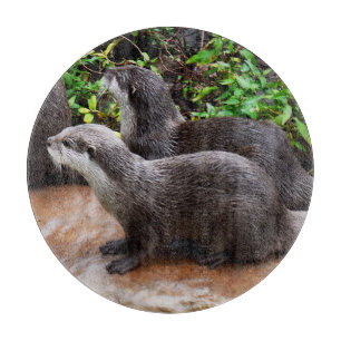 **"Patience by the Water: Two Little Grey Otters  Cutting Board