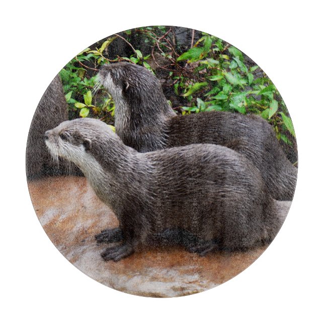 **"Patience by the Water: Two Little Grey Otters  Cutting Board (Front)