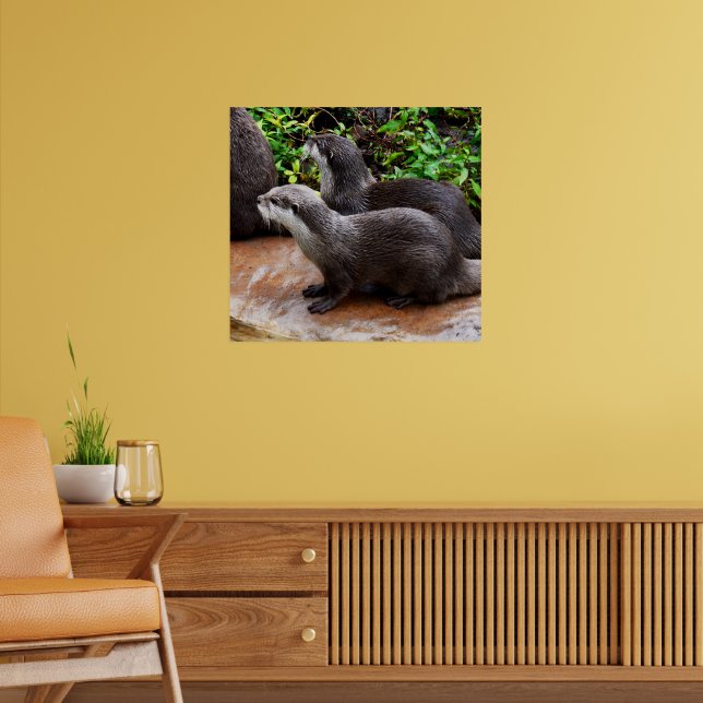 **"Patience by the Water: Two Little Grey Otters  Poster (Living Room 2)