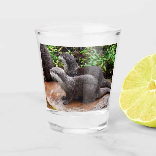 **"Patience by the Water: Two Little Grey Otters  Shot Glass (Front)