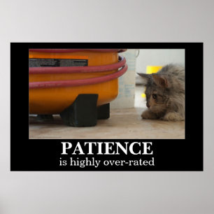 Patience Cat and Mouse Demotivational Poster