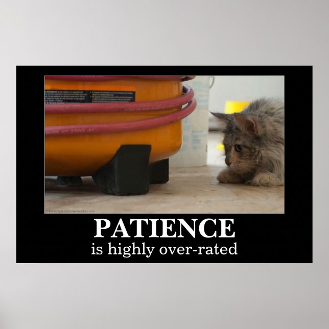 Patience Cat and Mouse Demotivational Poster (Front)