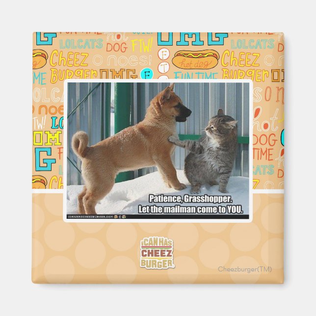 Patience, Grasshopper. Magnet (Front)
