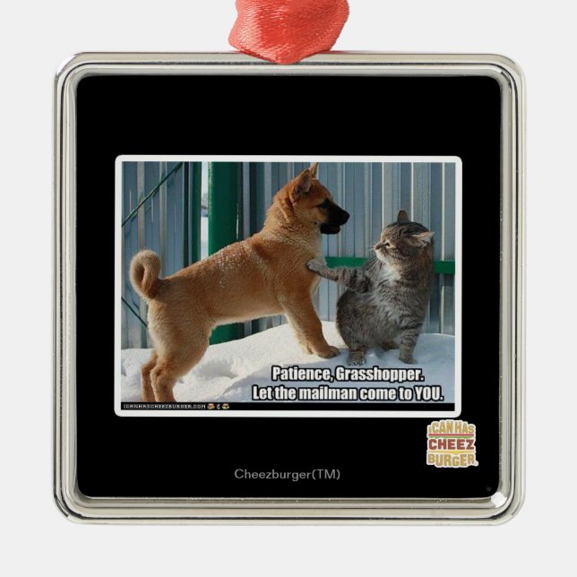 Patience, Grasshopper. Metal Ornament (Front)