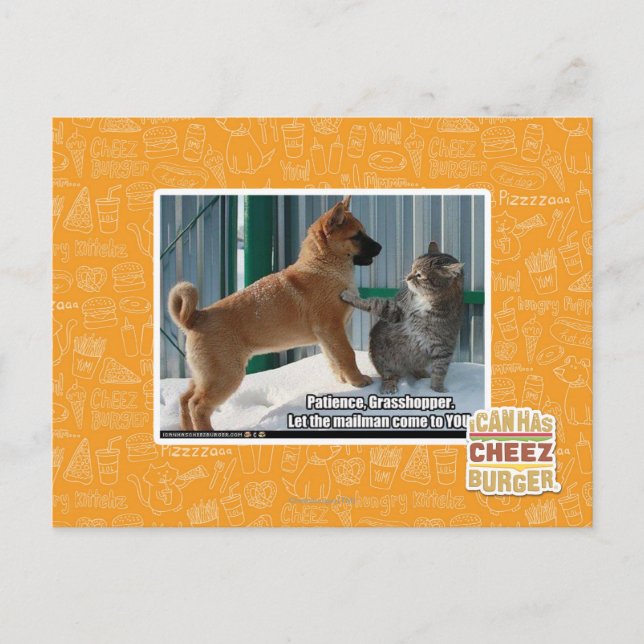 Patience, Grasshopper. Postcard (Front)