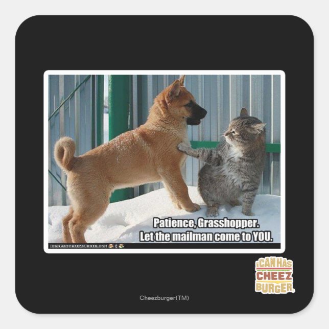 Patience, Grasshopper. Square Sticker (Front)