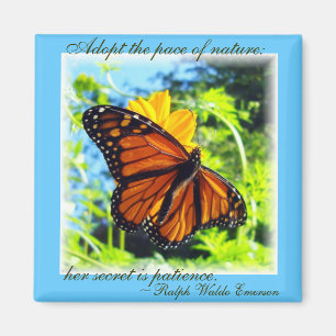 Patience is a virtue Monarch Magnet