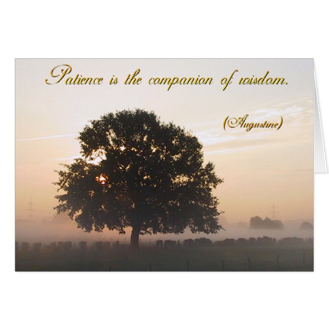 Patience is the companion of wisdom (Front Horizontal)