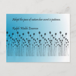 Patience Postcard