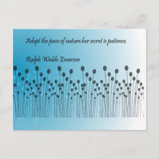 Patience Postcard
