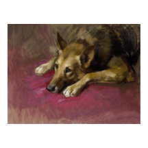 Patient German Shepherd by Marino Lenci