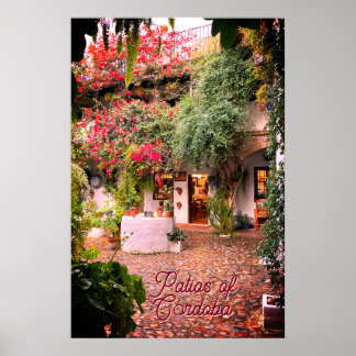 Patios of Córdoba Print,Value Poster Paper (Matte)