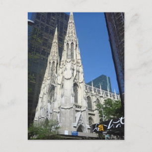 patricks cathedral ny postcard
