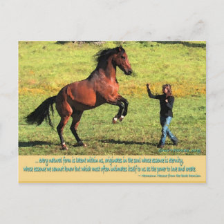 Patrik rear quote postcard