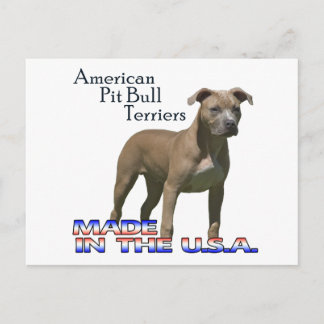 Patriot American Pit Bull Terrier (APBT) Postcard
