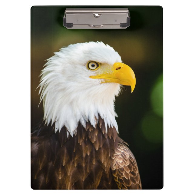 Patriotic Adult American Bald Eagle Clipboard (Front)