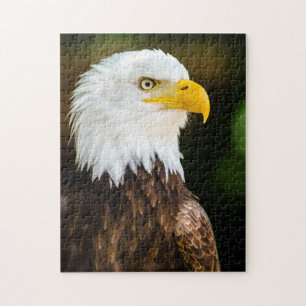 Patriotic Adult American Bald Eagle Jigsaw Puzzle