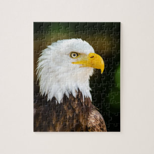 Patriotic Adult American Bald Eagle Jigsaw Puzzle