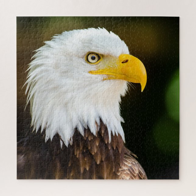 Patriotic Adult American Bald Eagle Jigsaw Puzzle (Vertical)