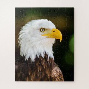 Patriotic Adult American Bald Eagle Jigsaw Puzzle