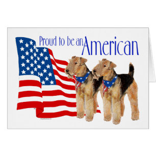 Patriotic American Airedales