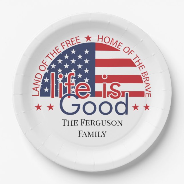 Patriotic American Flag Paper Plate (Front)