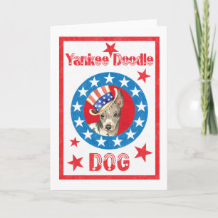 Patriotic American Hairless Terrier Card