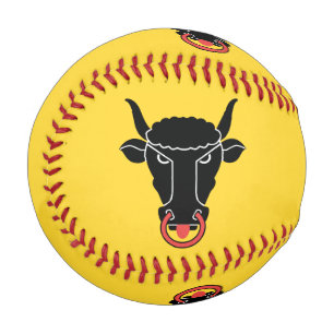 Patriotic baseball with flag of Uri, Switzerland