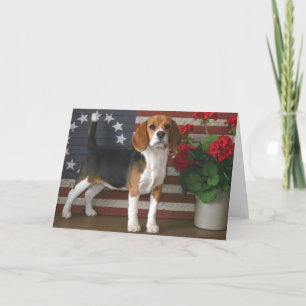 Patriotic Beagle Card