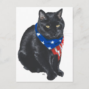 Patriotic Black Cat Postcard