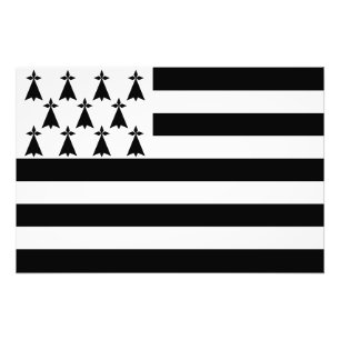 Patriotic Brittany Flag Photo Print