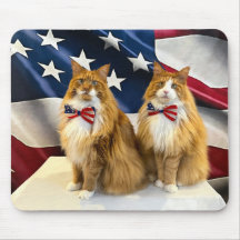 Patriotic Cats