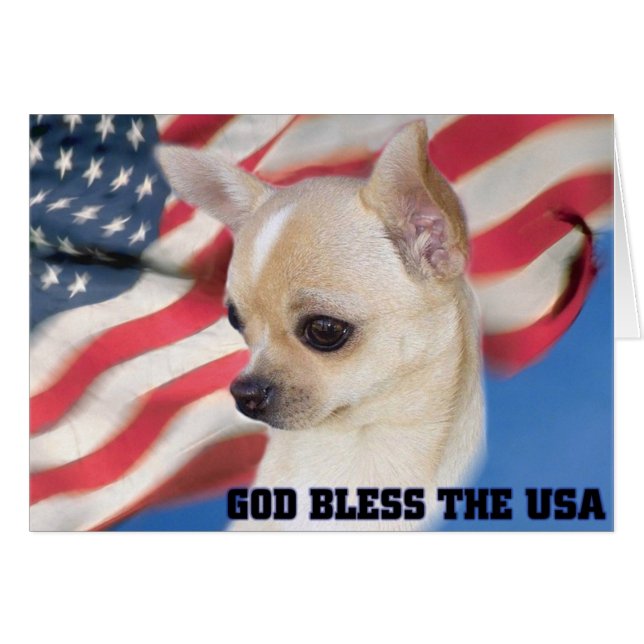 Patriotic Chihuahua card (Front Horizontal)