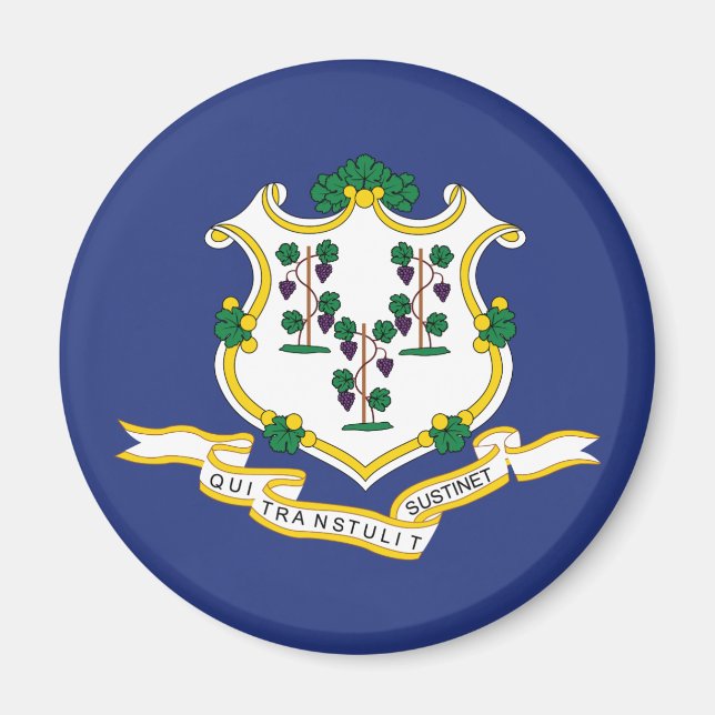 Patriotic Connecticut State Flag Magnet (Front)
