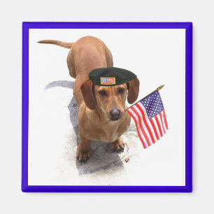 Patriotic dachshund magnet
