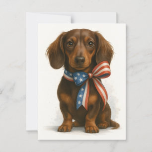 Patriotic Dachshund Postcard