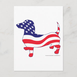 Patriotic Dachshund / Wiener Postcard