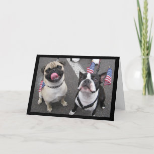 Patriotic dogs card