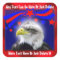 Patriotic Eagle And Stars Stickers