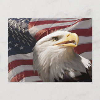 Patriotic Eagle Postcard