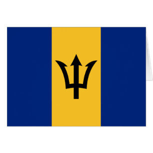 Patriotic Flag of Barbados