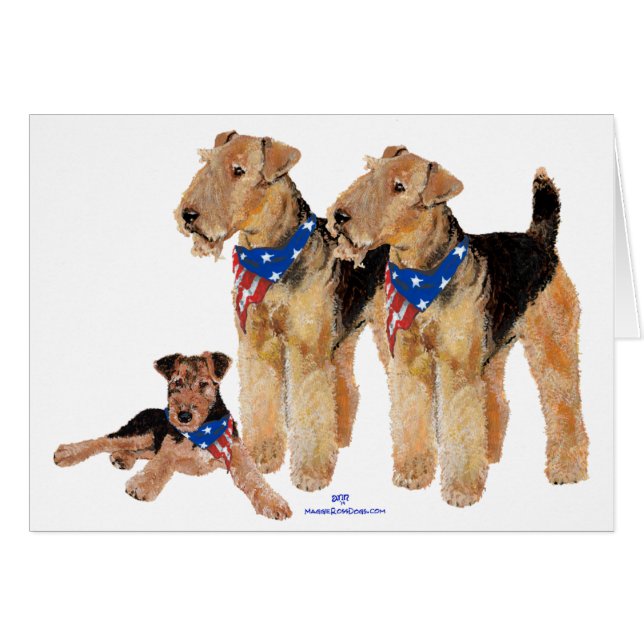 Patriotic Flag Trio (Front Horizontal)