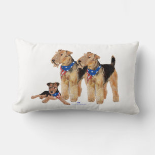 Patriotic Flag Trio Lumbar Cushion