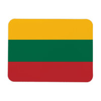 Patriotic flexible magnet with flag of Lithuania