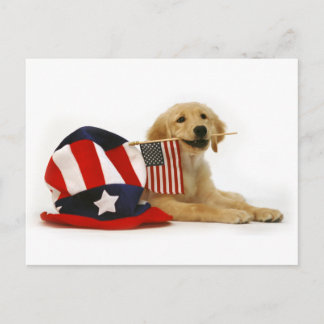 Patriotic Golden Puppy Postcard