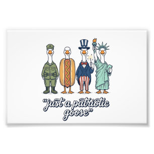 Patriotic Goose Lineup Vintage Vector Shirt_1 Photo Print