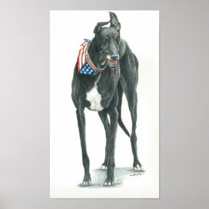 Patriotic Greyhound Dog Arr Print