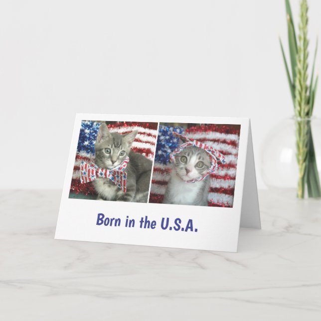 Patriotic kittens card (Front)